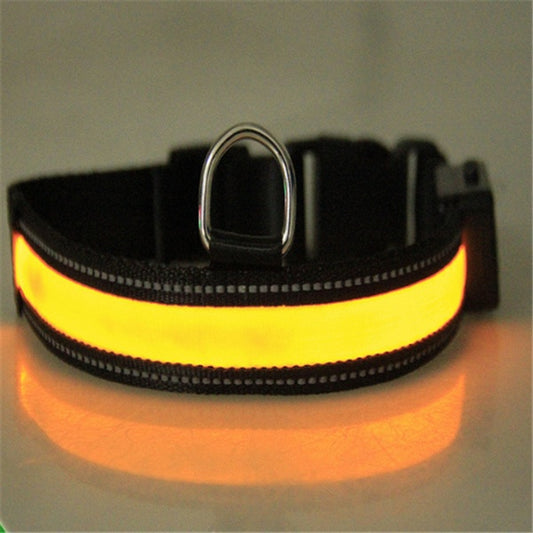Fluorescent Dog Collar – LED Safety Collar for Night Walks