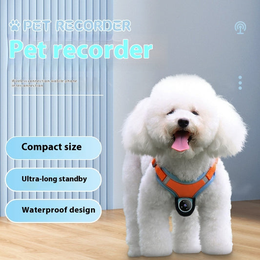 Pet Tracker & Camera Collar – Motion Recording Action Camera for Dogs & Cats