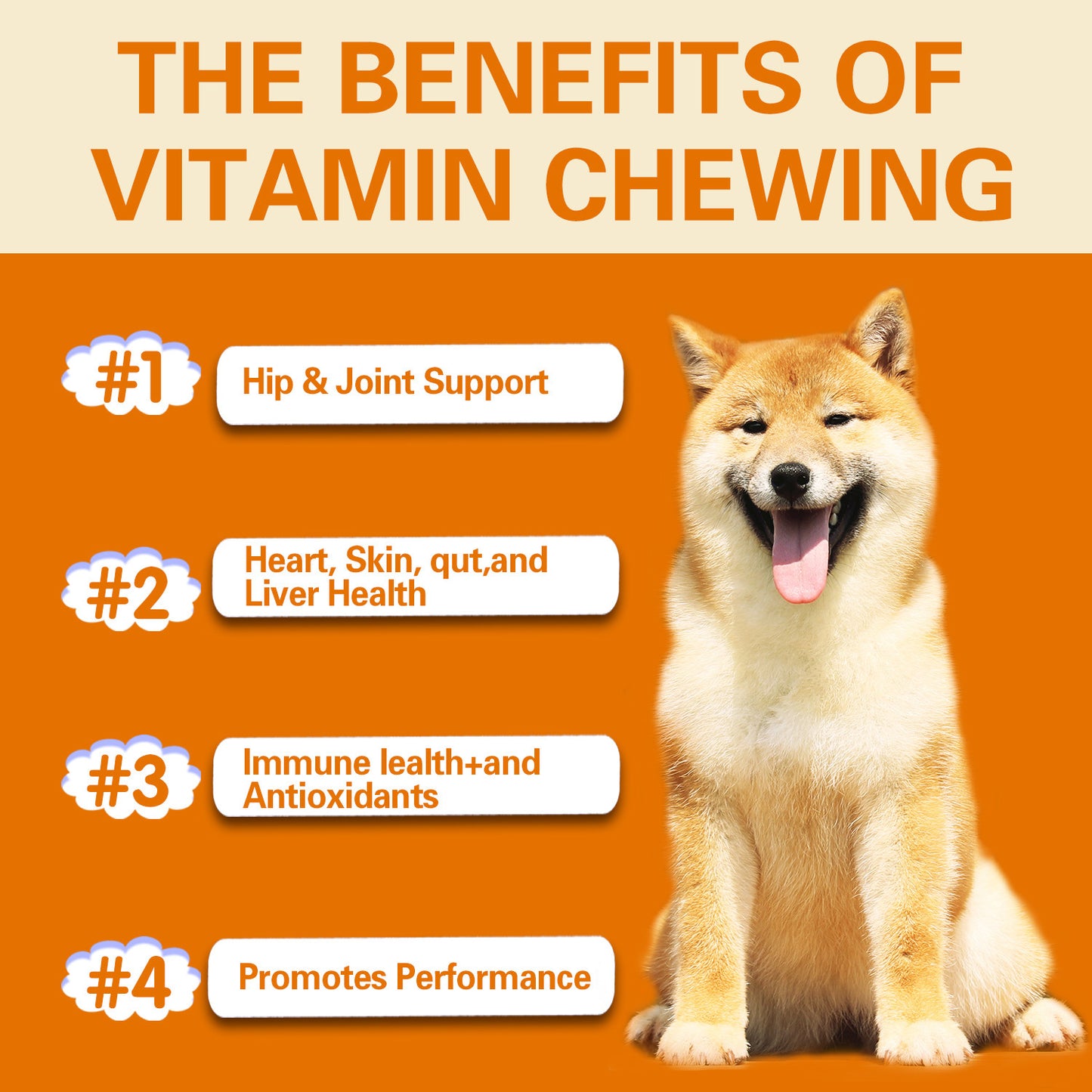 Multivitamin dog health supplement for immunity and wellness
