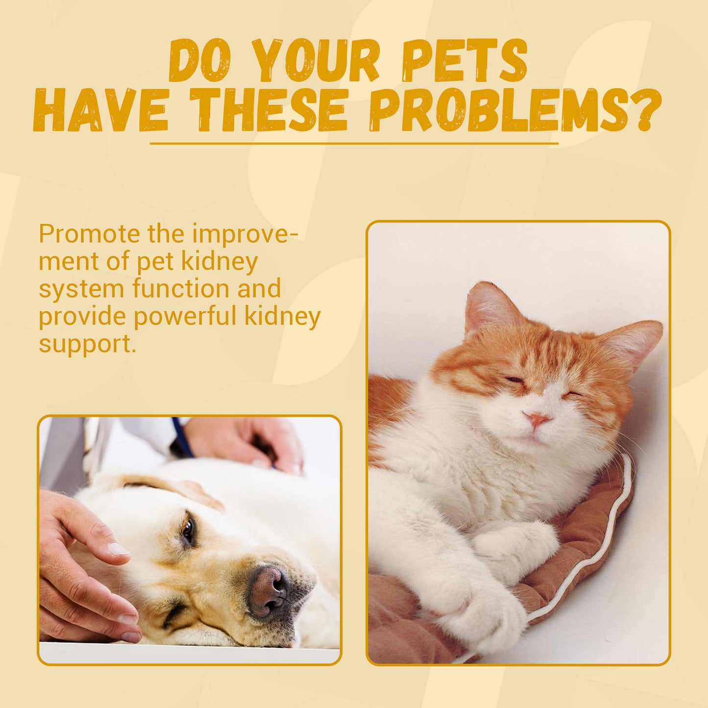 Pet Energy & Vitality Supplement – Daily Nutrition Boost for Dogs & Cats