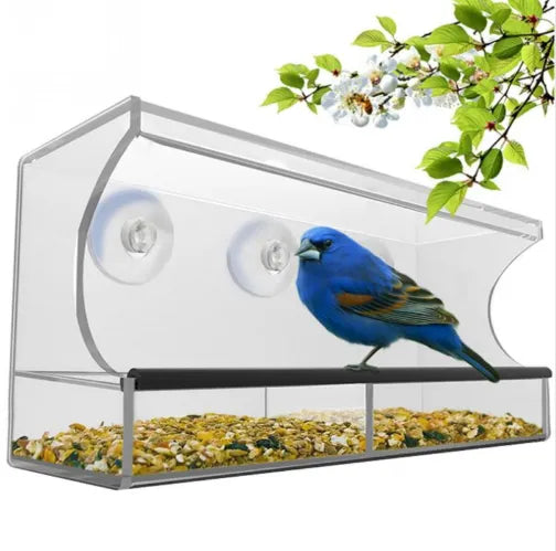 Bird Supplies