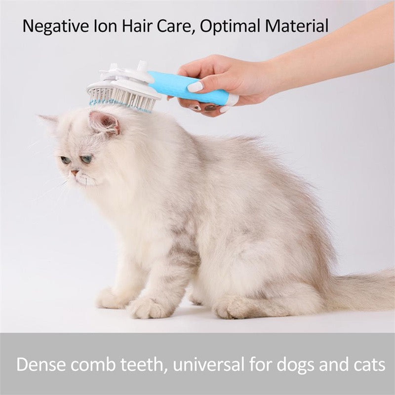 Pet Grooming