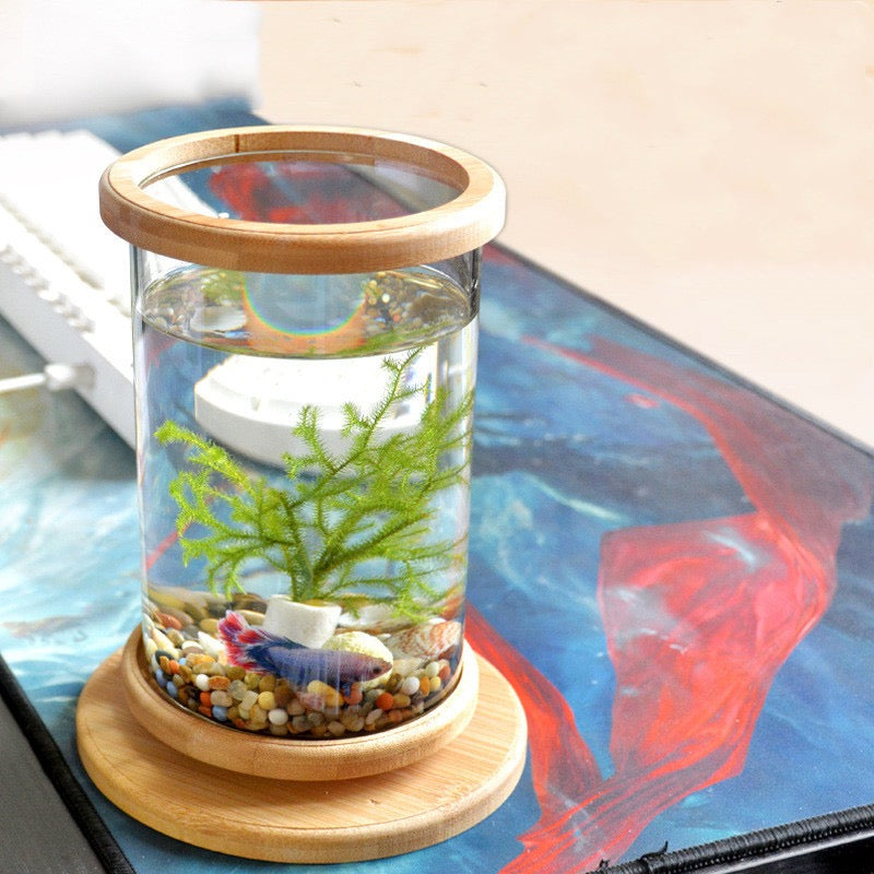 Fish & Aquatic Pets