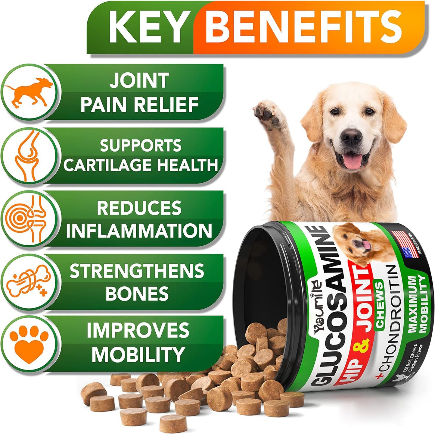 Dog hip and joint supplement with chondroitin