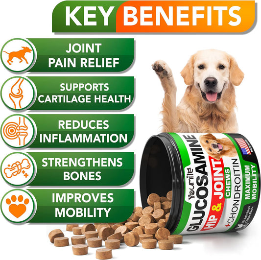 Dog hip and joint supplement with chondroitin