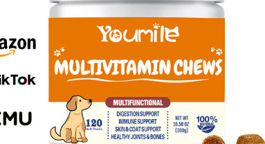 Multivitamin Supplements for Dogs – Complete Health Care