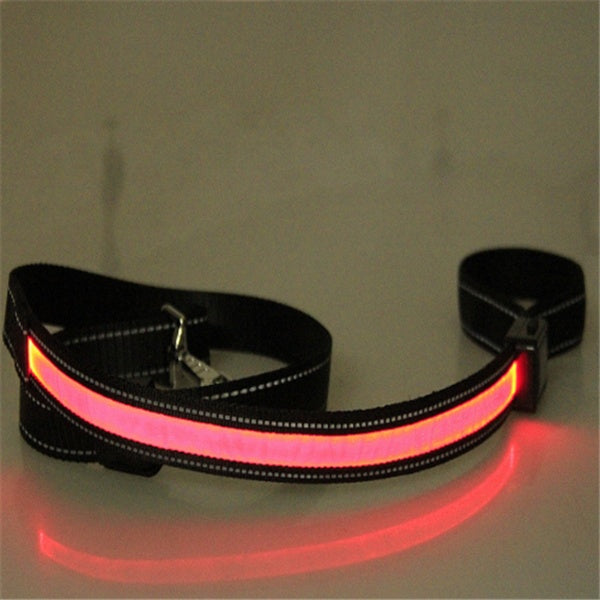 Fluorescent Dog Collar – LED Safety Collar for Night Walks