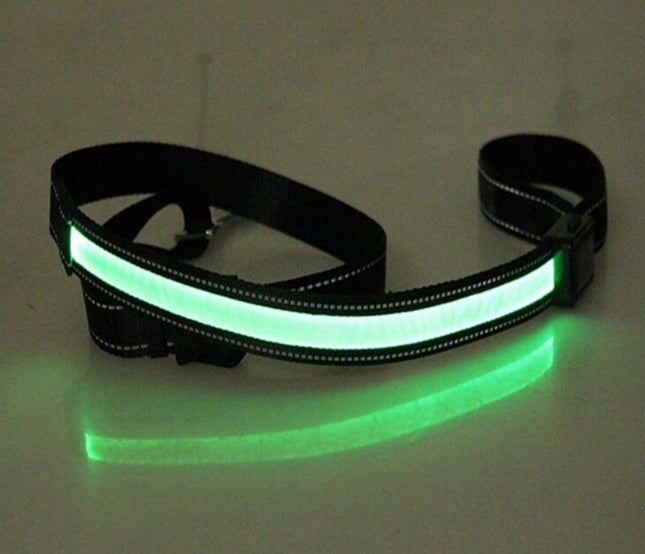 Fluorescent Dog Collar – LED Safety Collar for Night Walks