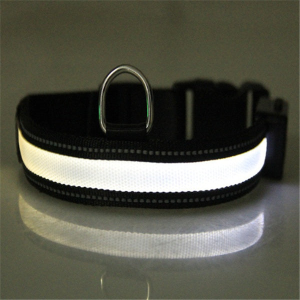 Fluorescent Dog Collar – LED Safety Collar for Night Walks