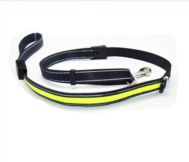 Fluorescent Dog Collar – LED Safety Collar for Night Walks
