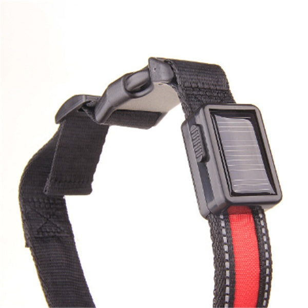 Fluorescent Dog Collar – LED Safety Collar for Night Walks