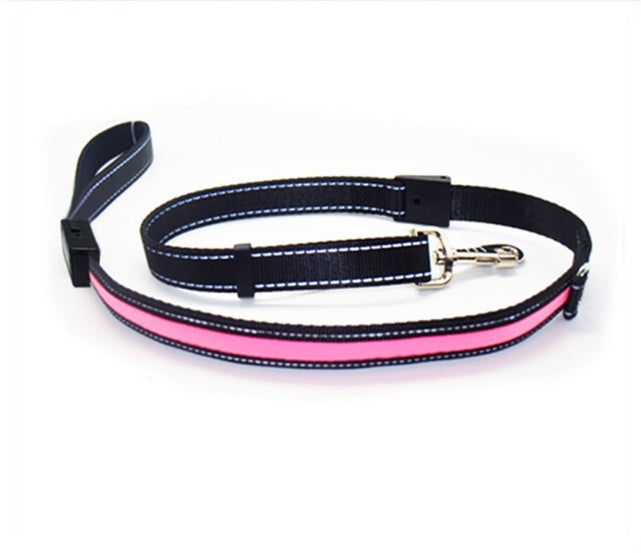 Fluorescent Dog Collar – LED Safety Collar for Night Walks