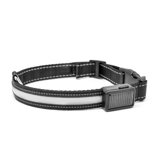 Fluorescent Dog Collar – LED Safety Collar for Night Walks