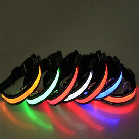 Fluorescent Dog Collar – LED Safety Collar for Night Walks