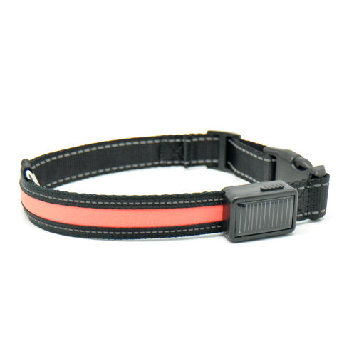 Fluorescent Dog Collar – LED Safety Collar for Night Walks