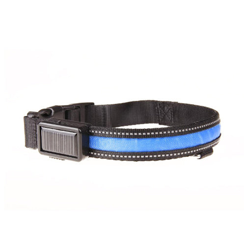 Fluorescent Dog Collar – LED Safety Collar for Night Walks