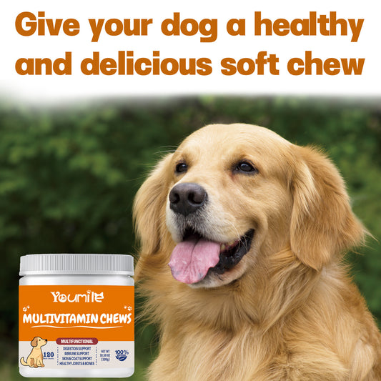 Multivitamin dog health supplement for immunity and wellness
