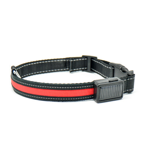 Fluorescent Dog Collar – LED Safety Collar for Night Walks