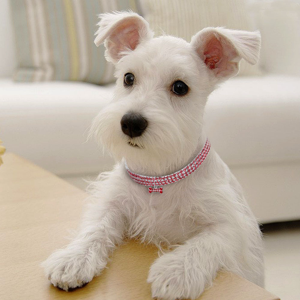 Bling Rhinestone Dog & Cat Collar – Crystal Leash for Small & Medium Pets