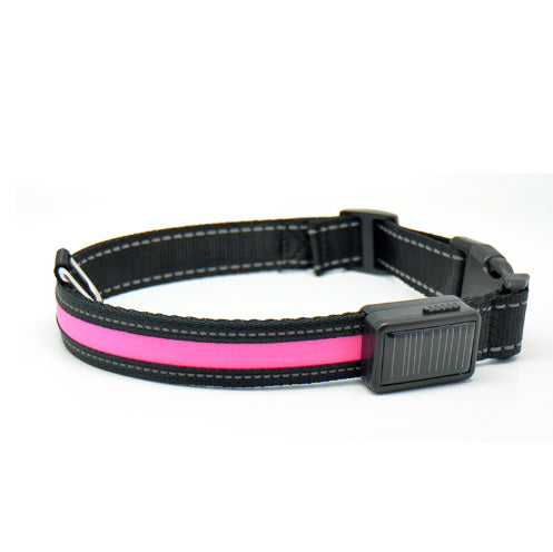 Fluorescent Dog Collar – LED Safety Collar for Night Walks