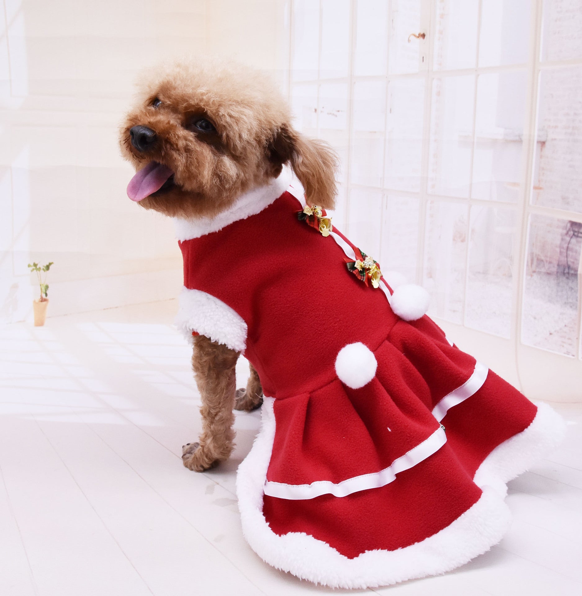 Christmas Pet Dress – Fashion Fleece Skirt for Cats & Small Dogs | PetAura