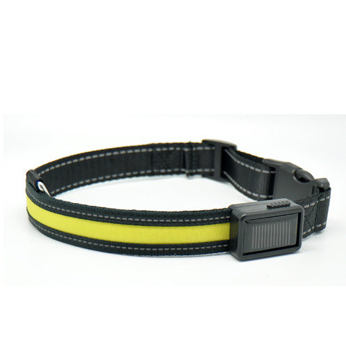 Fluorescent Dog Collar – LED Safety Collar for Night Walks