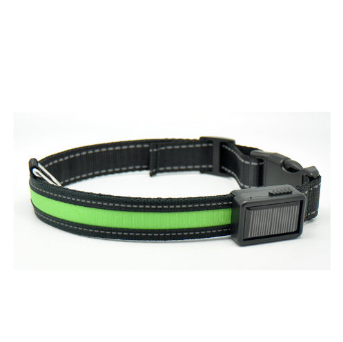 Fluorescent Dog Collar – LED Safety Collar for Night Walks
